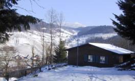 Blick auf die Hornisgrinde